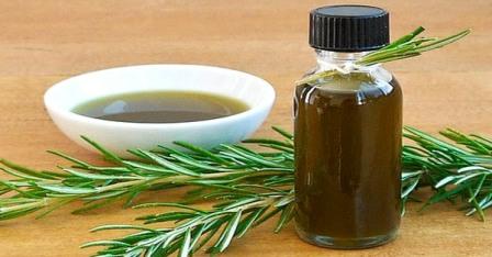 Розмарин Применение экстрактов трав