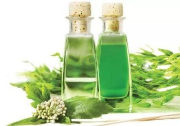 Экстракты трав и растений в косметике Экстракты трав и растений в косметике, фото