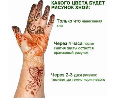 Советы новичкам Тату хной в домашних условиях