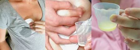 Ценное молозиво Кормить ли ребенка грудным молоком