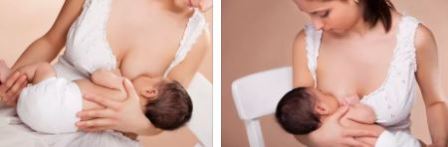 Как правильно кормить грудного ребенка Каким молоком кормить грудного ребенка